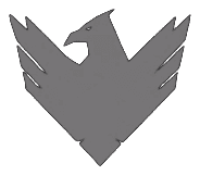 RAVEN emblem